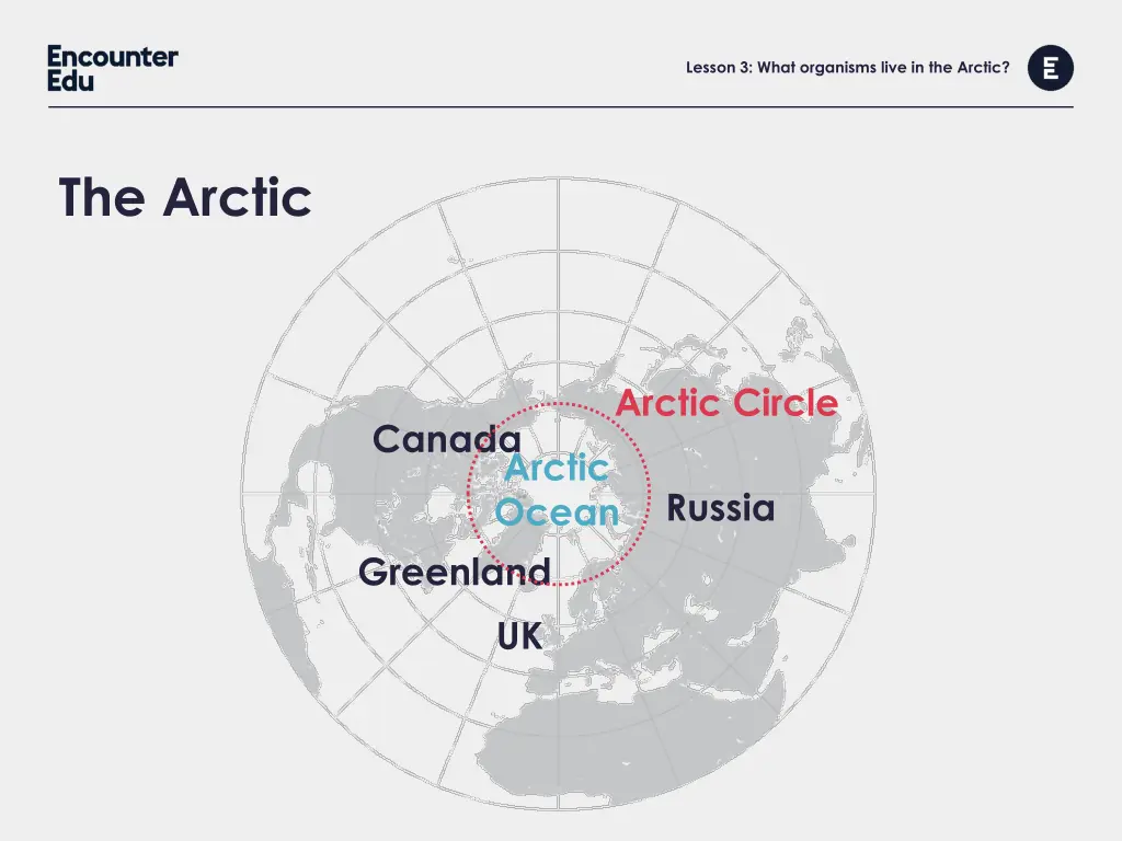 lesson 3 what organisms live in the arctic 2