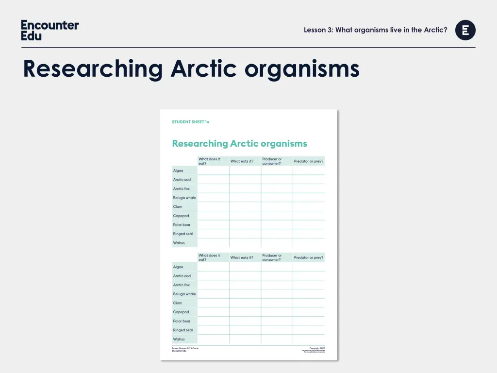 lesson 3 what organisms live in the arctic 5