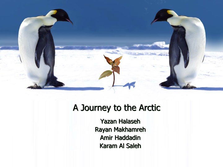 a journey to the arctic