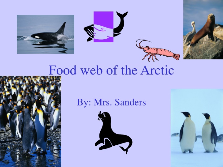 food web of the arctic