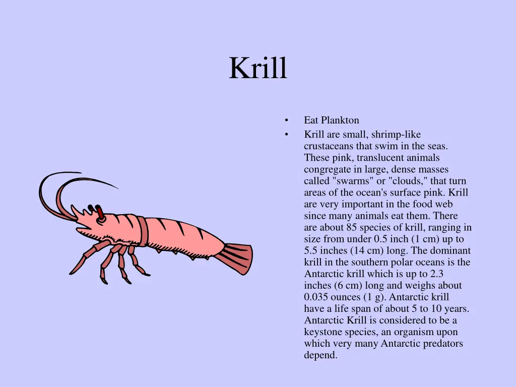 krill