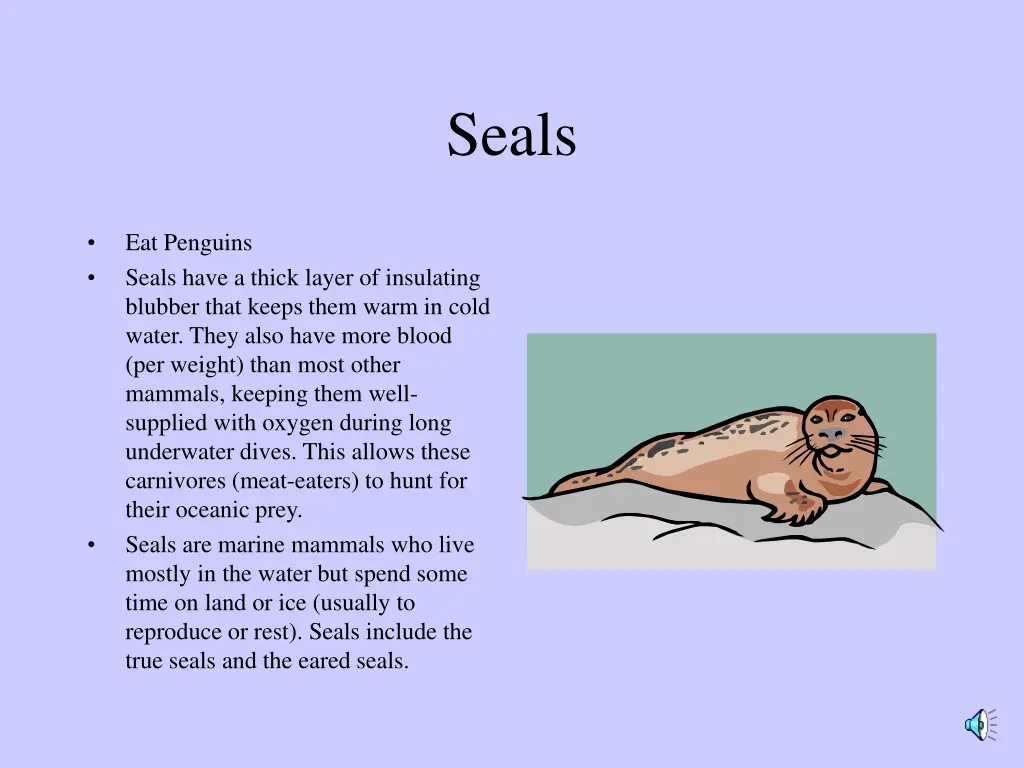 seals