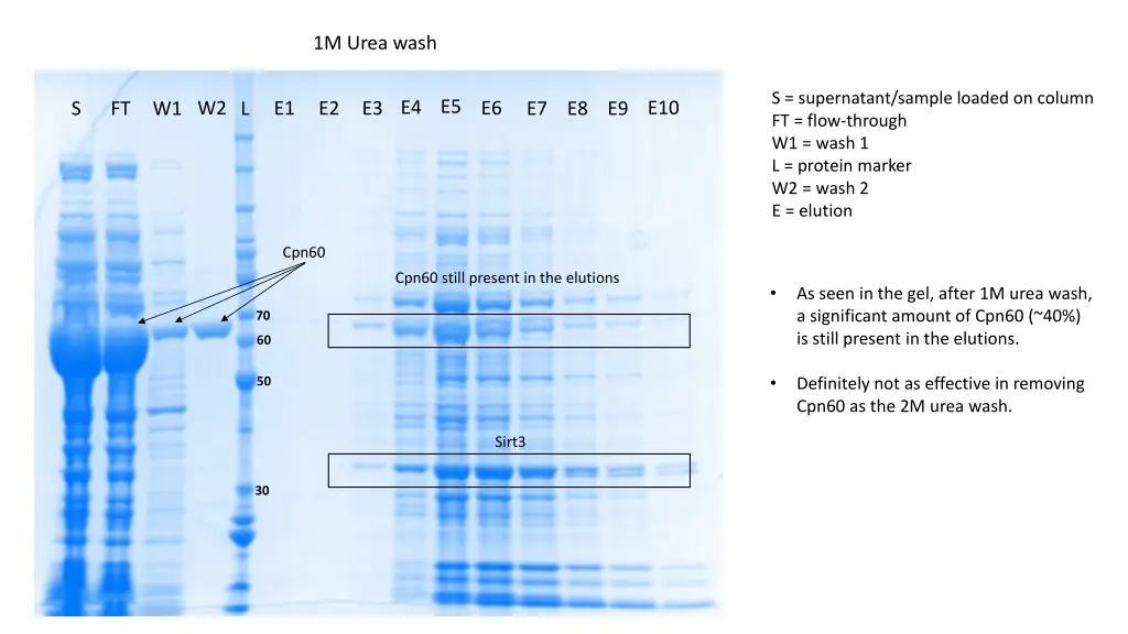 1m urea wash