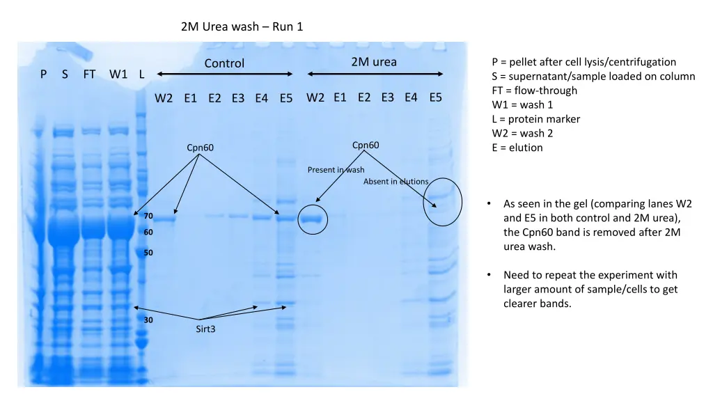 2m urea wash run 1