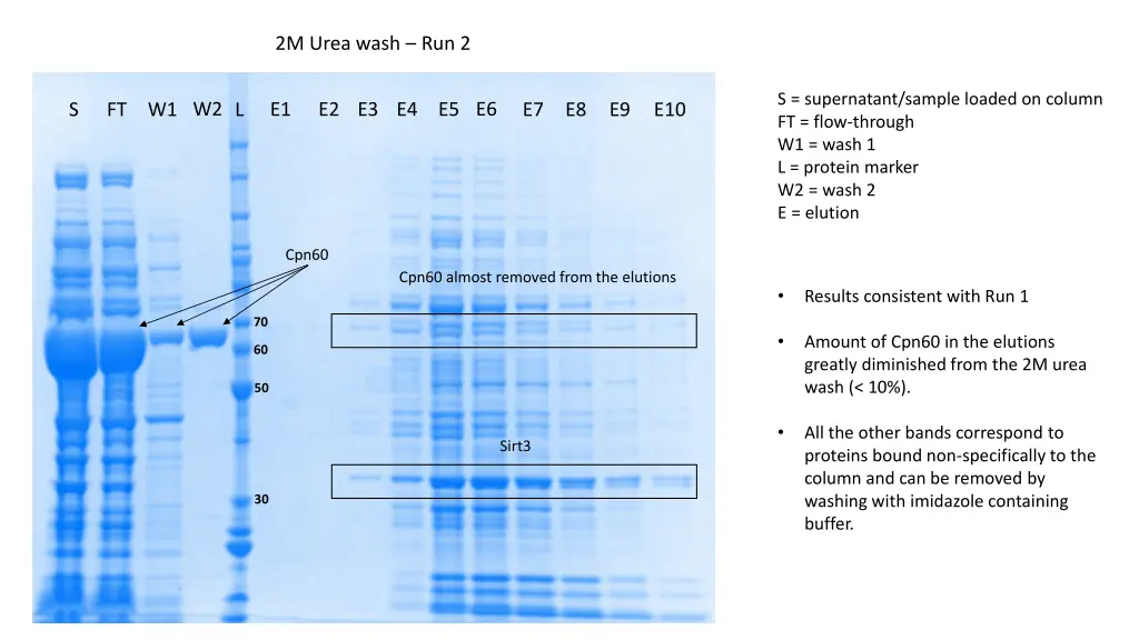 2m urea wash run 2