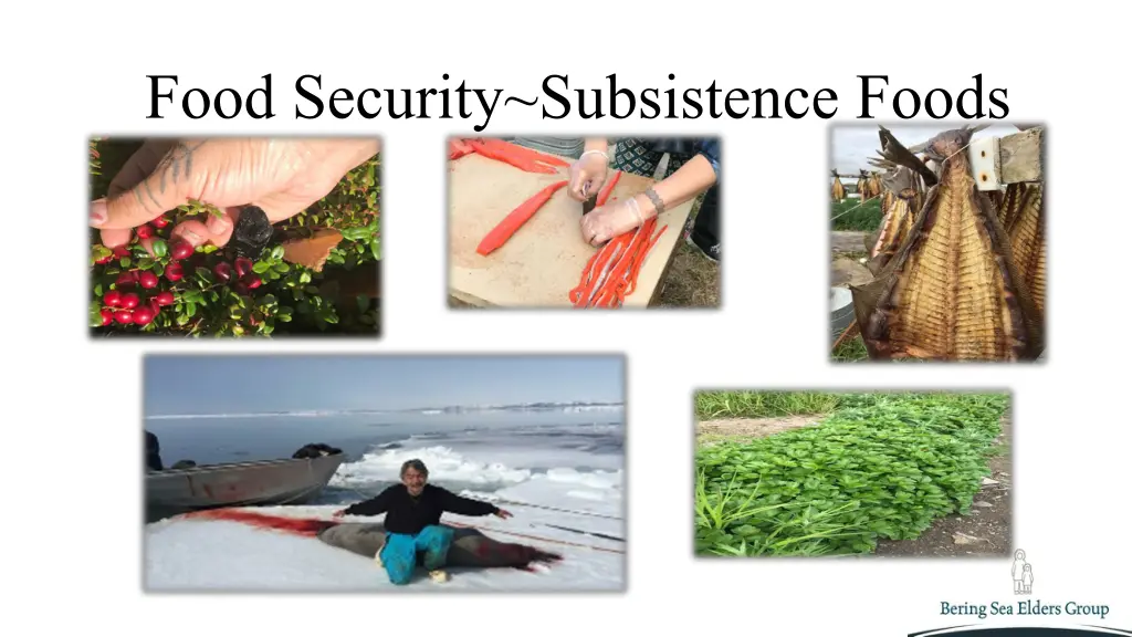 food security subsistence foods