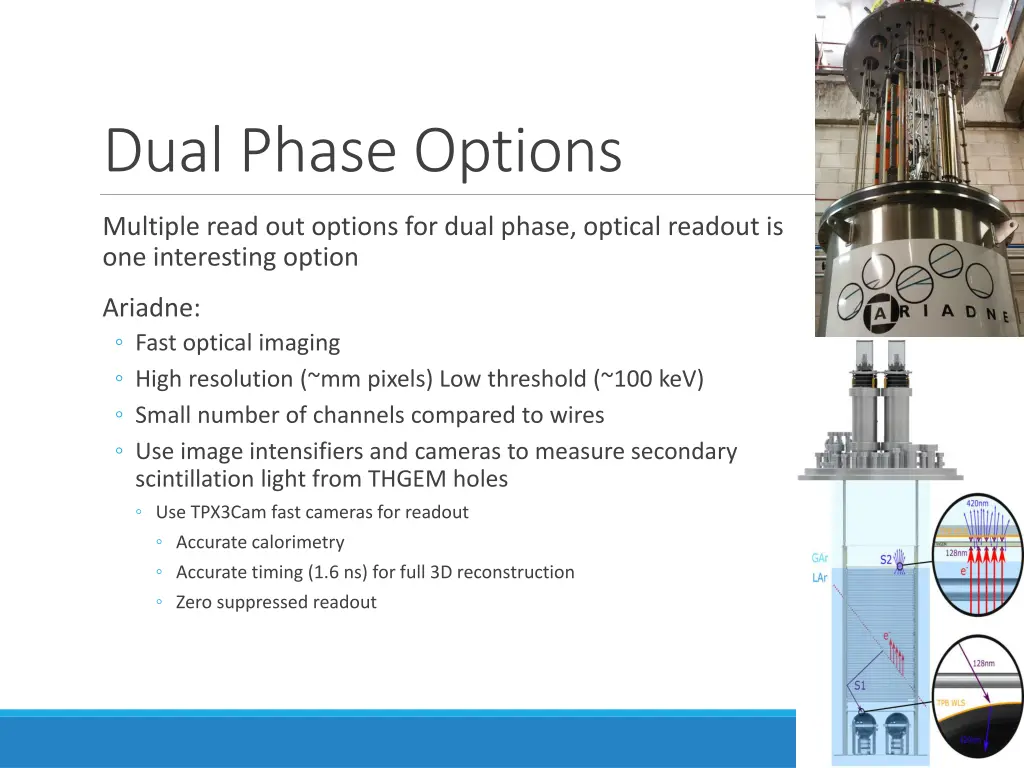 dual phase options