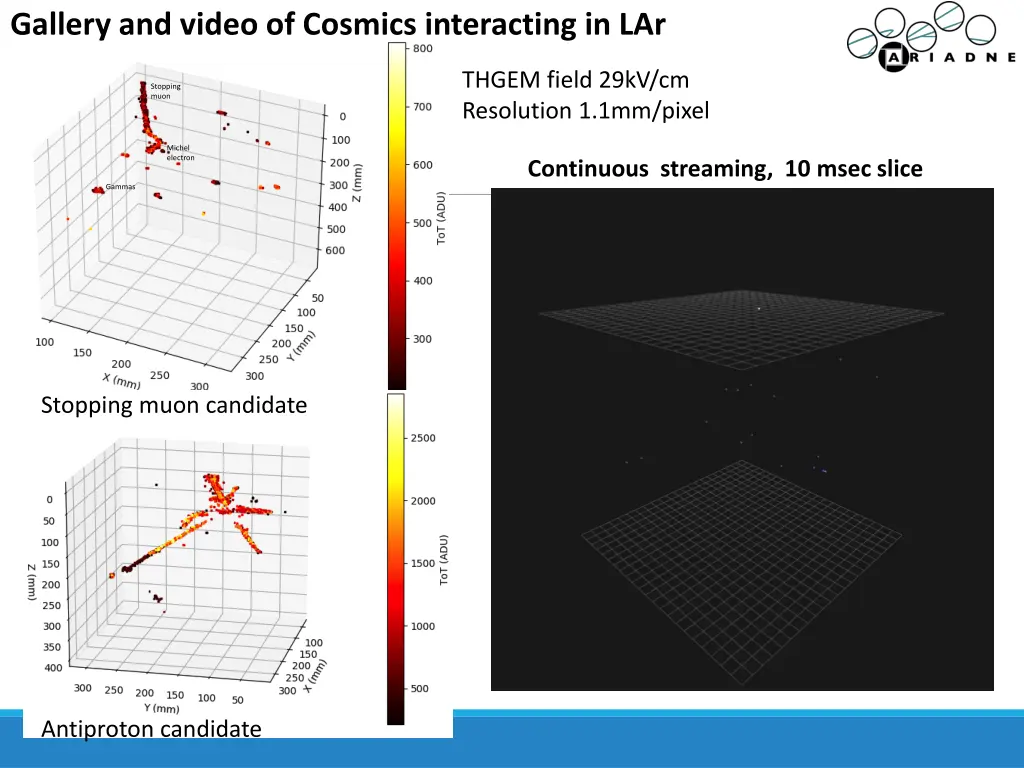 gallery and video of cosmics interacting in lar