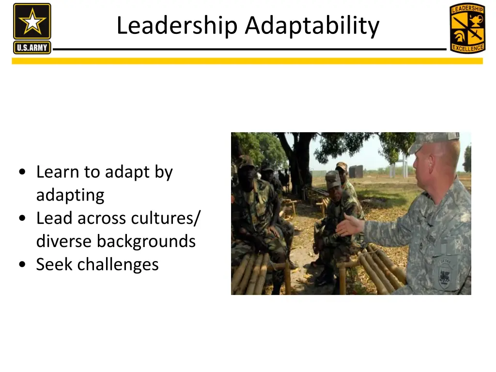 leadership adaptability