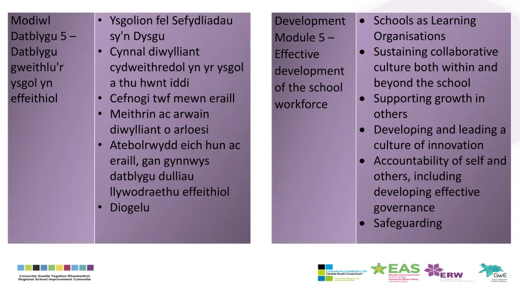 schools as learning organisations sustaining