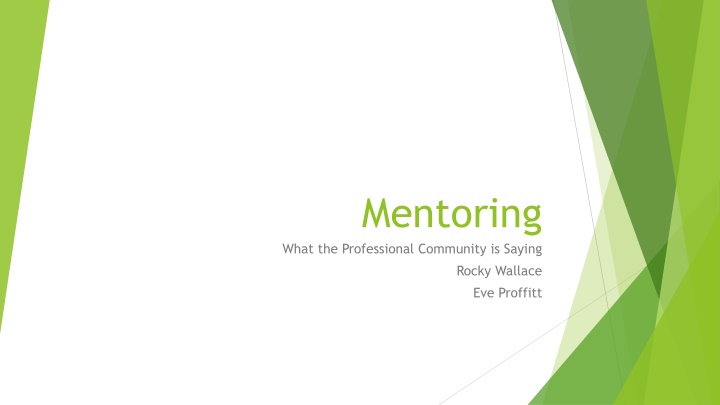 mentoring what the professional community