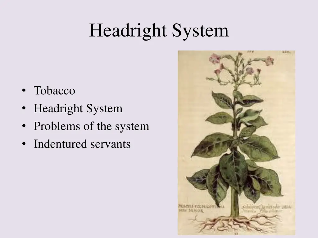 headright system