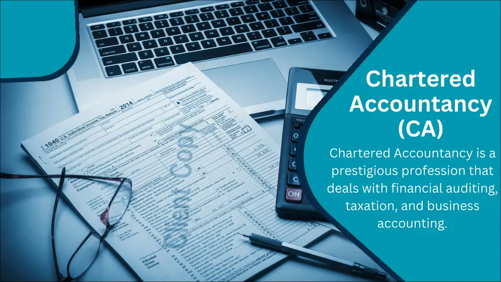 chartered accountancy ca chartered accountancy