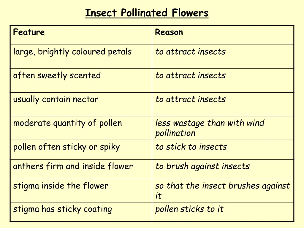 insect pollinated flowers