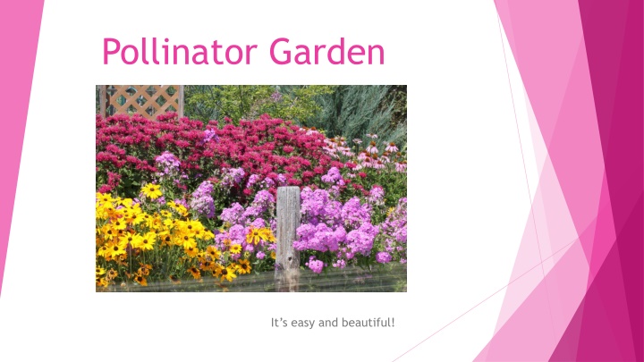 pollinator garden