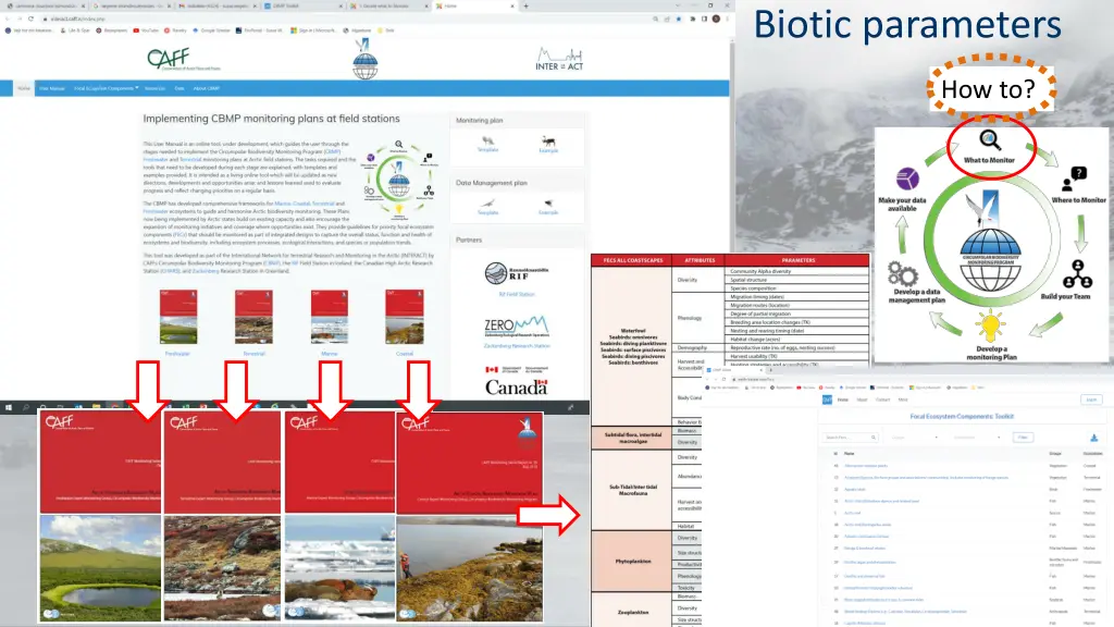 biotic parameters