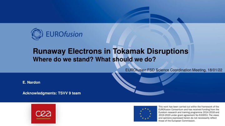 runaway electrons in tokamak disruptions where