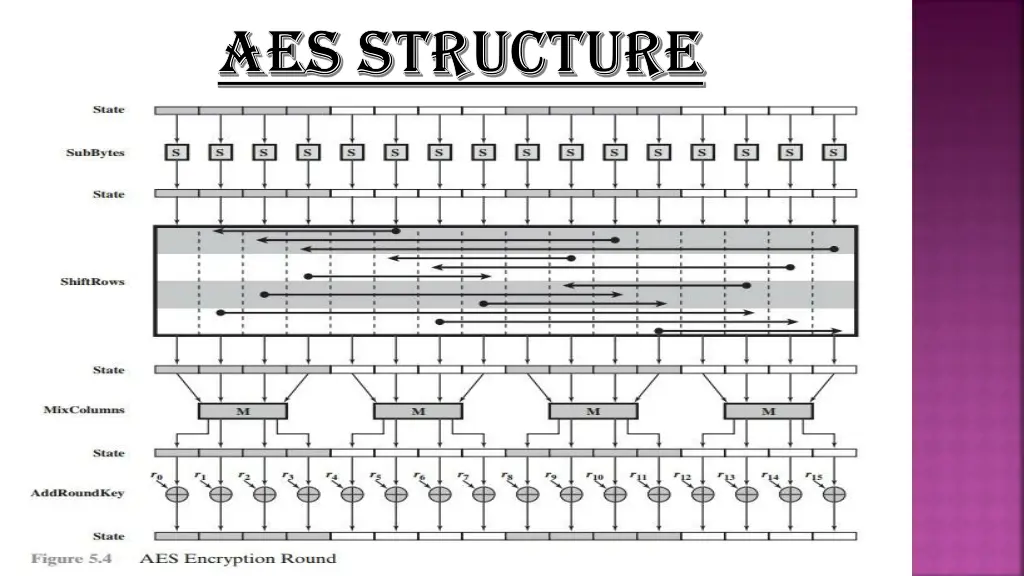 aes structure aes structure 1