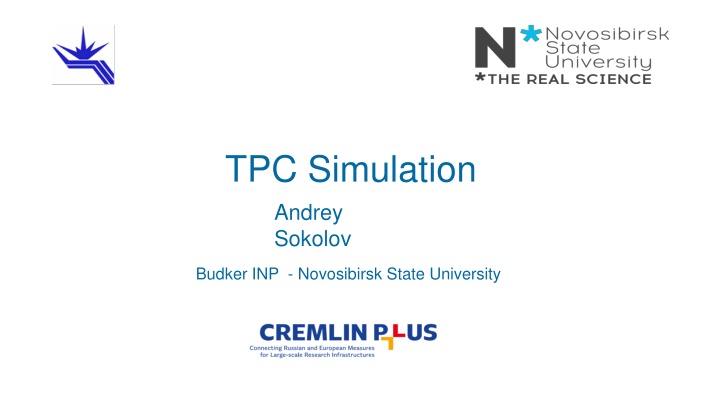 tpc simulation andrey sokolov