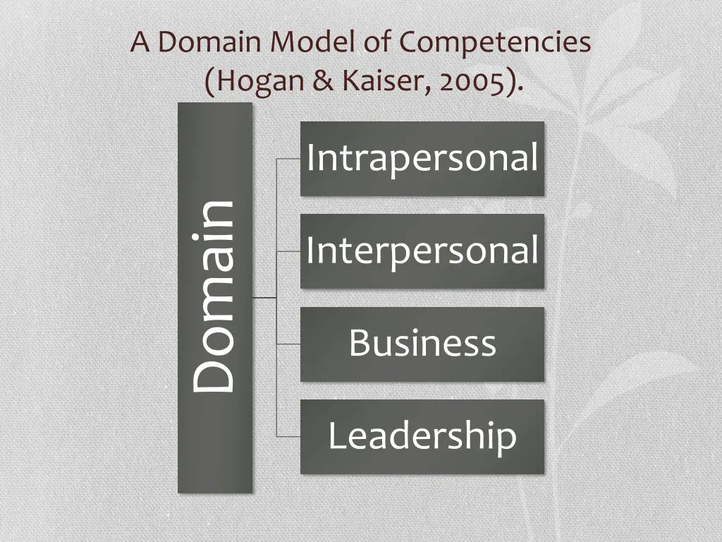 a domain model of competencies hogan kaiser 2005