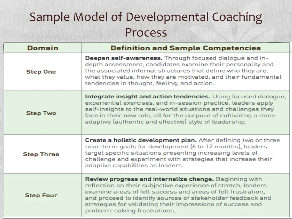 sample model of developmental coaching process