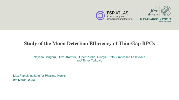 study of the muon detection efficiency of thin