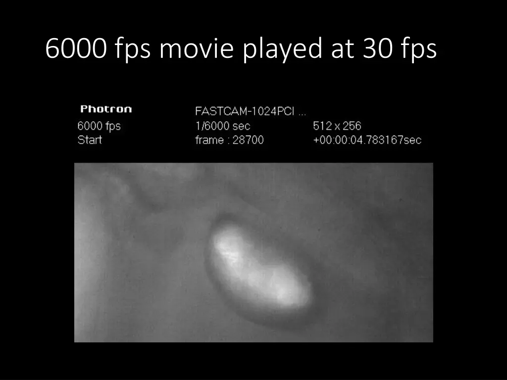 6000 fps movie played at 30 fps