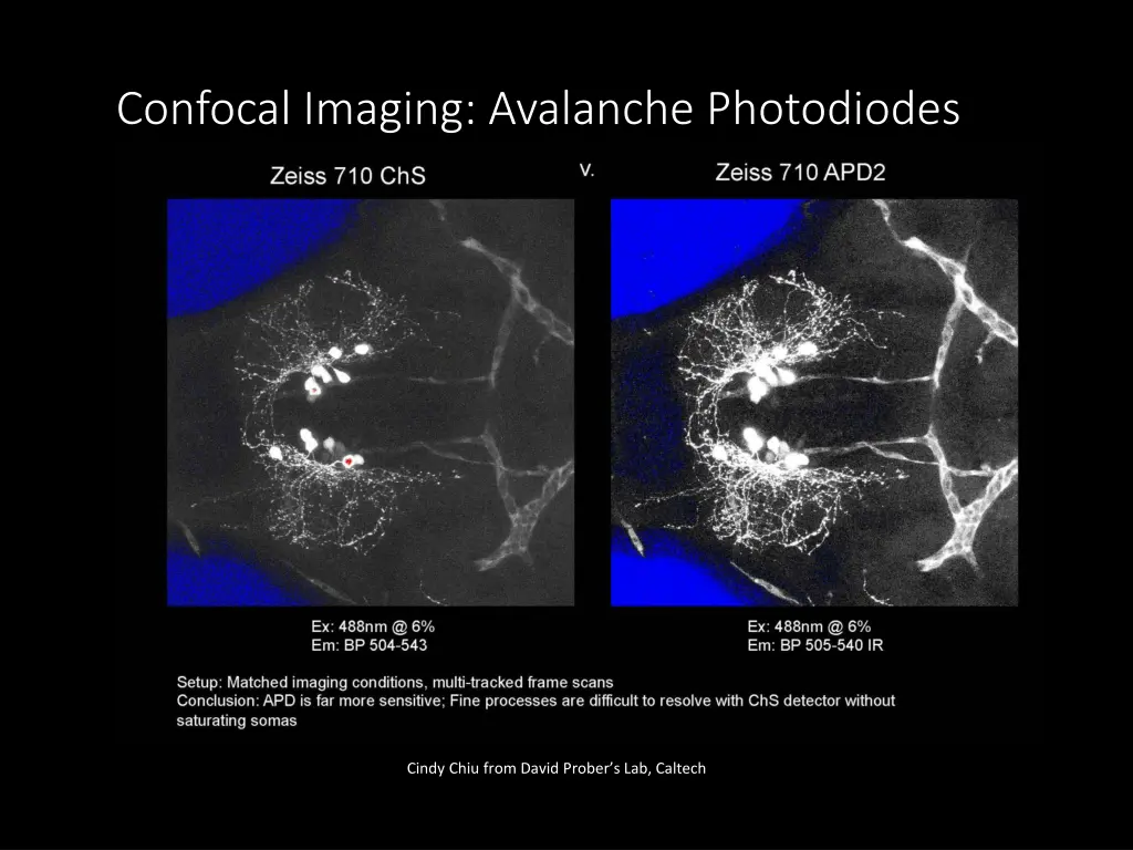 confocal imaging avalanche photodiodes