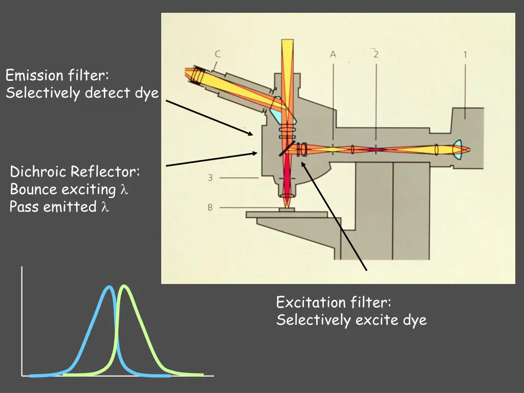 emission filter selectively detect dye 1