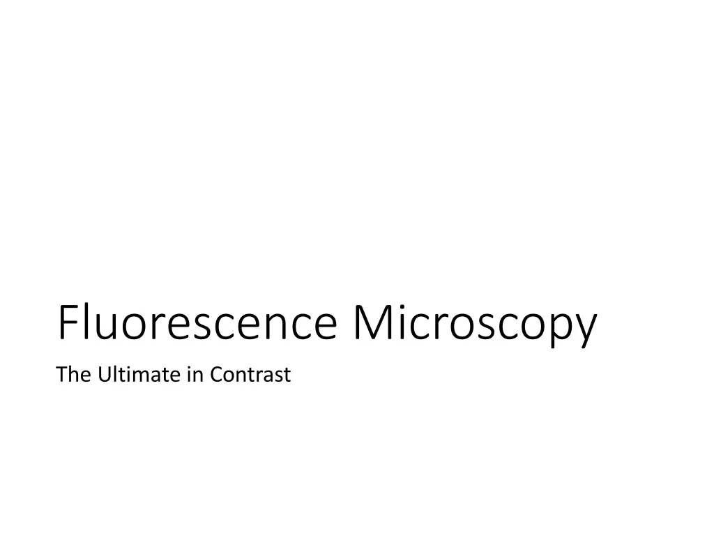 fluorescence microscopy the ultimate in contrast