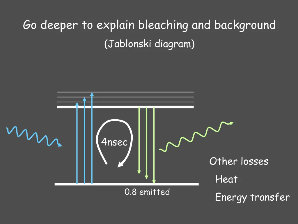 go deeper to explain bleaching and background