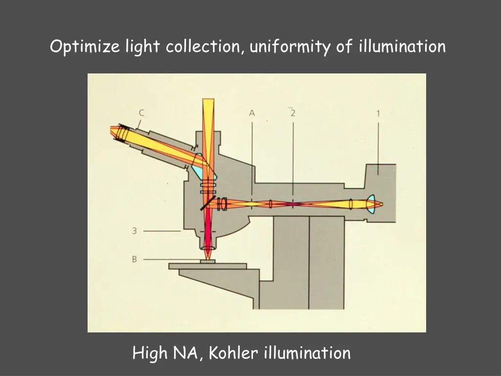 optimize light collection uniformity