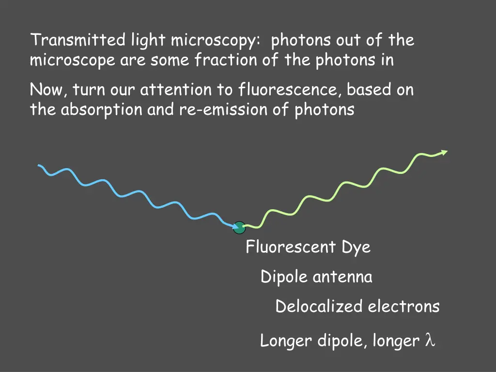 transmitted light microscopy photons