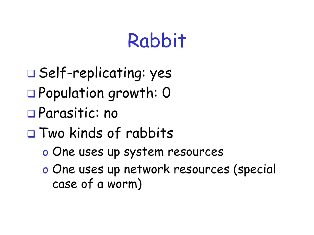 rabbit