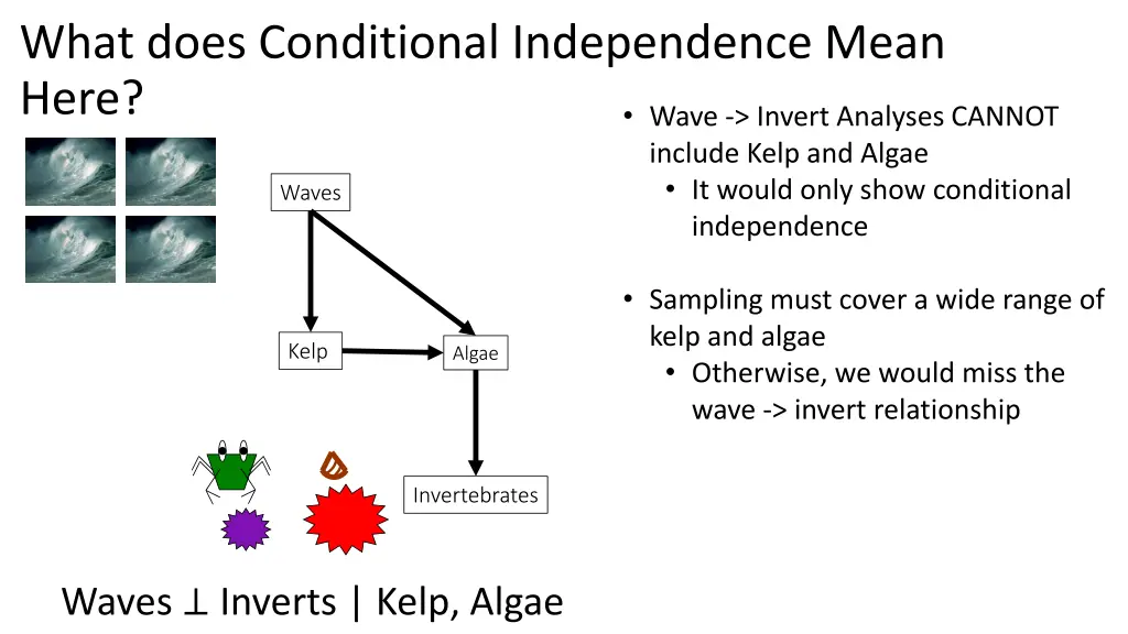 what does conditional independence mean here