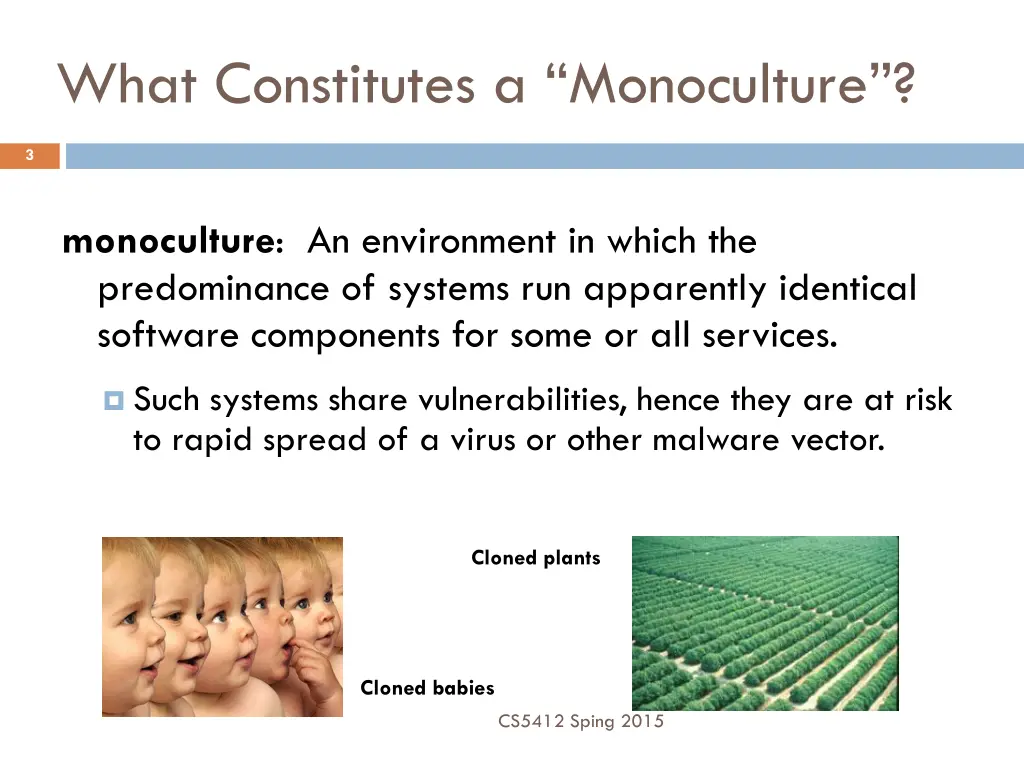 what constitutes a monoculture