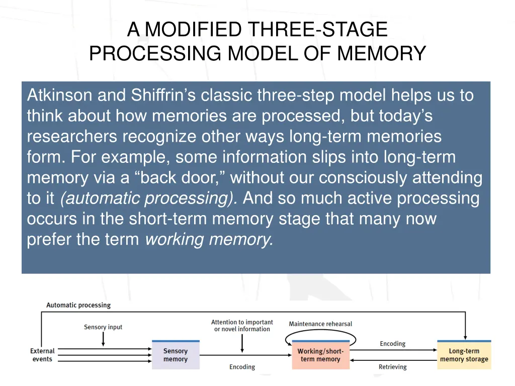 a modified three stage processing model of memory