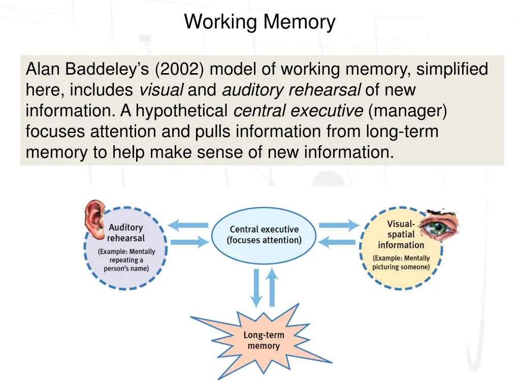 working memory