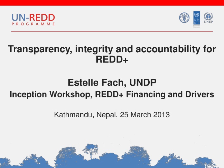 transparency integrity and accountability for redd