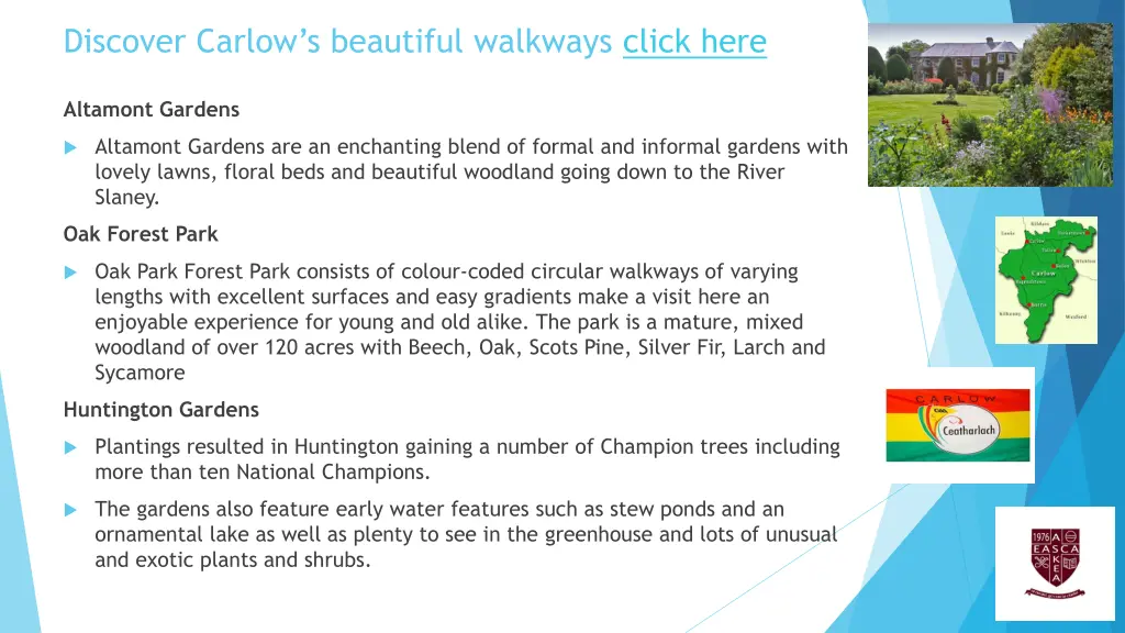 discover carlow s beautiful walkways click here