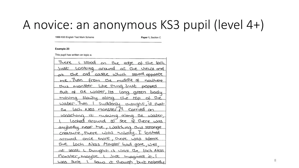 a novice an anonymous ks3 pupil level 4