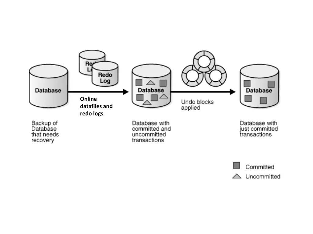 online datafiles and redo logs