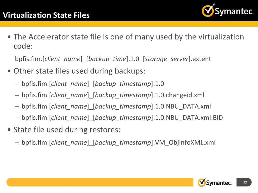 virtualization state files