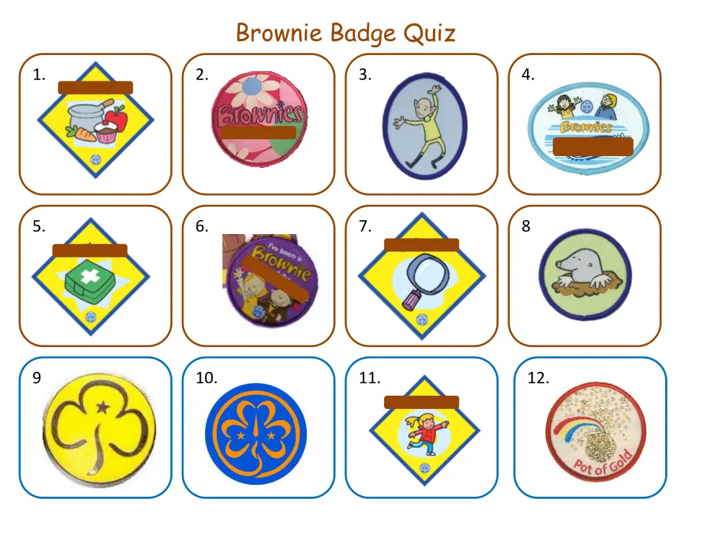 brownie badge quiz