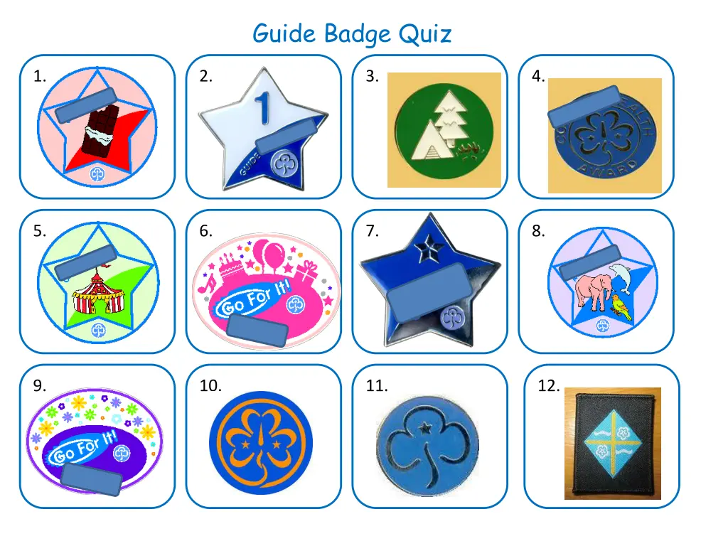 guide badge quiz