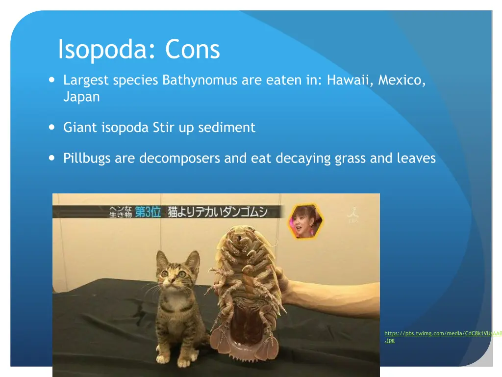 isopoda cons