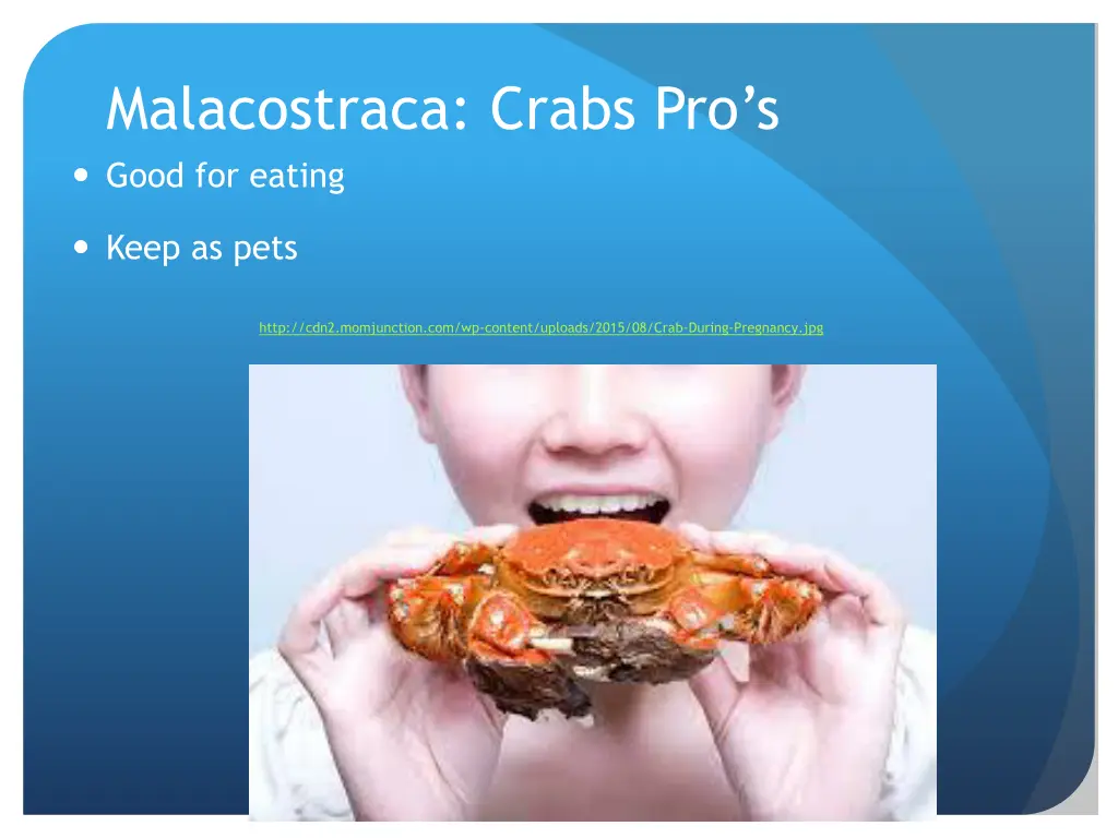 malacostraca crabs pro s good for eating