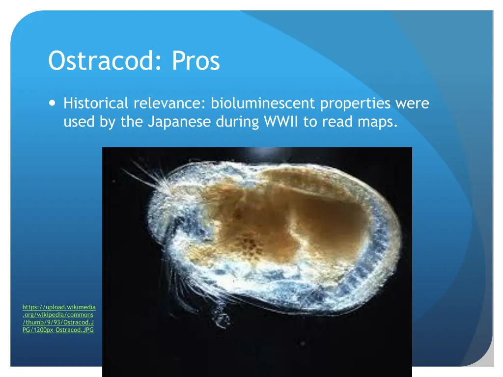 ostracod pros