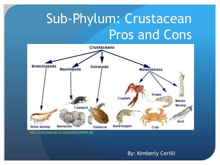 sub phylum crustacean pros and cons