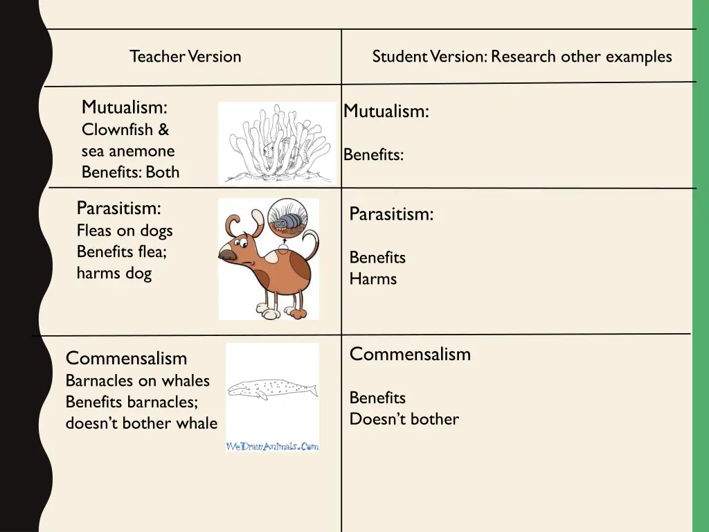 teacher version